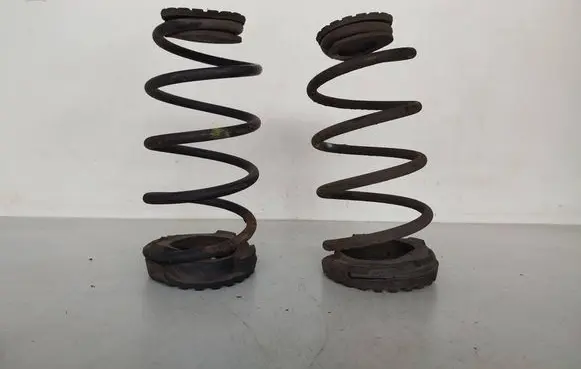 Fiat Punto Evo Rear coil spring B405 55703699