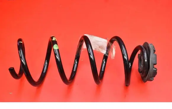 Rear coil spring
