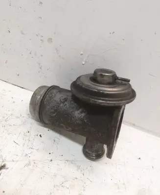 EGR valve