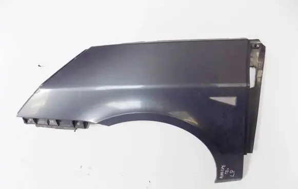 Renault Avantime Fender