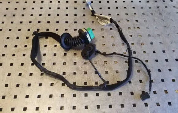 Rear door wiring loom
