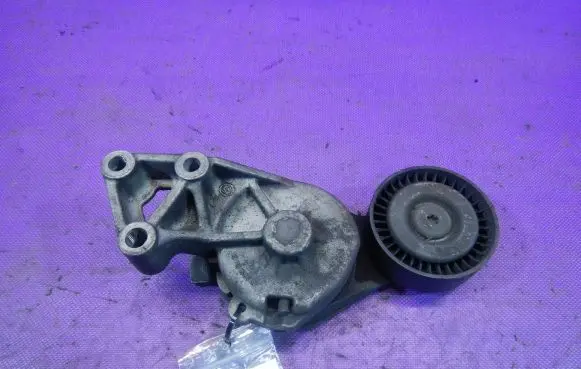 Seat Alhambra (Mk1) Timing belt tensioner 950372