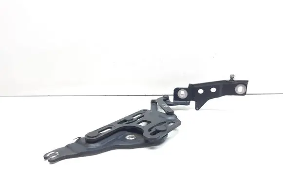 BMW X5 E70 Engine bonnet/hood hinges 7148347