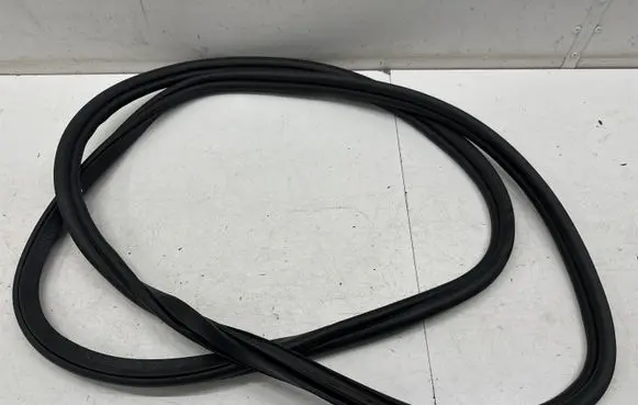 BMW X7 G07 Rear door rubber seal (on body) 7431142