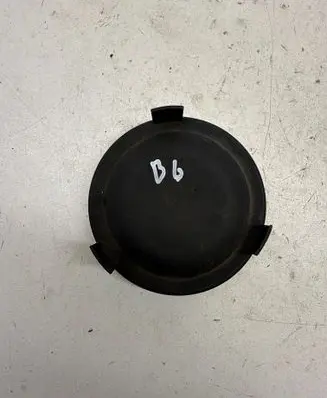 Volkswagen PASSAT B6 Headlight/headlamp dust cover 1300516068