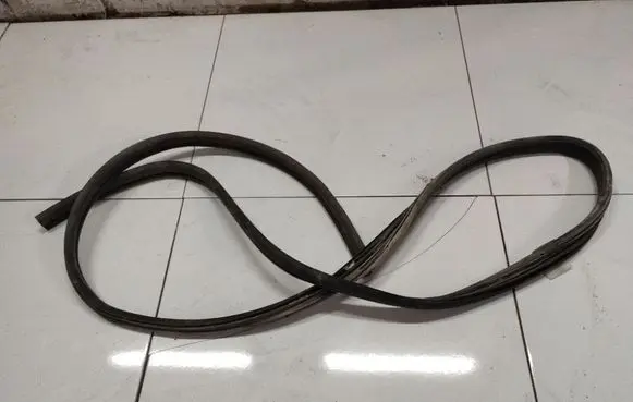 Renault Scenic I Rubber seal front coupe door 