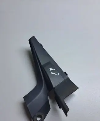 Fender trim (molding)
