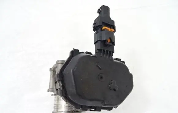 Throttle body valve
