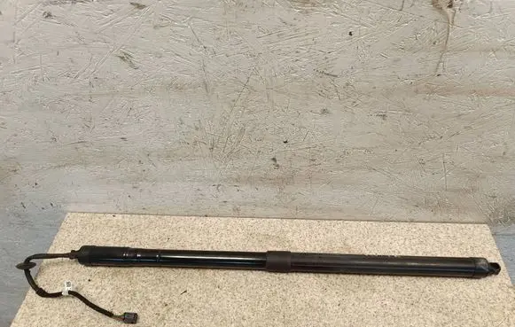 Ford C-MAX II Tailgate/trunk strut/damper E521A 11102015