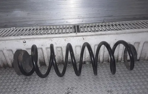 Volkswagen Polo IV 9N3 Rear coil spring