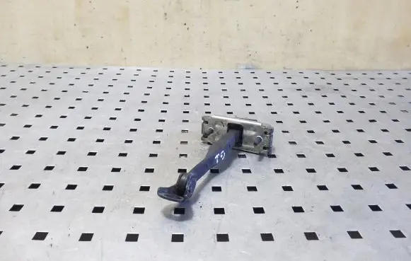 Rear door check strap stopper