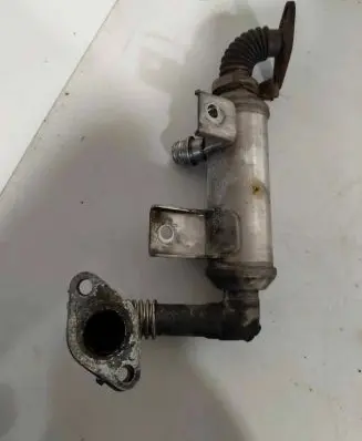 Renault Trafic II (X83) EGR valve cooler 4M5Q9F464