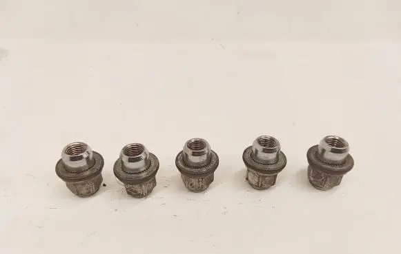 Nuts/bolts