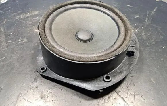 Tesla Model S Subwoofer speaker 