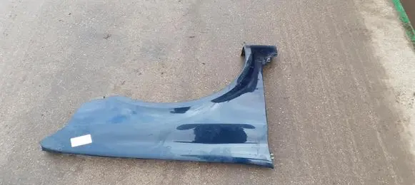 Renault Laguna II Fender