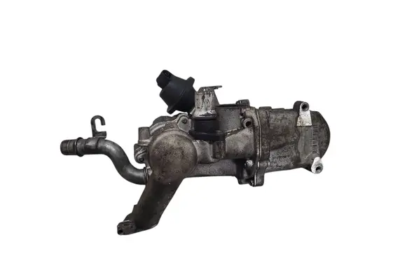 EGR valve