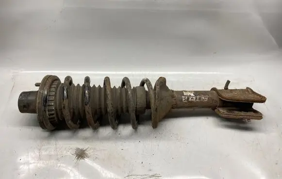 Land Rover Freelander Rear shock absorber with coil spring 