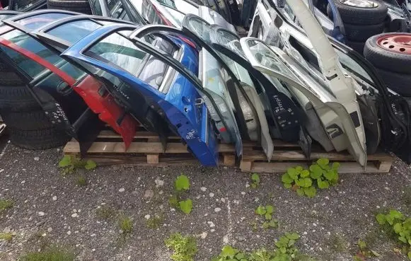 Renault Laguna I Front door
