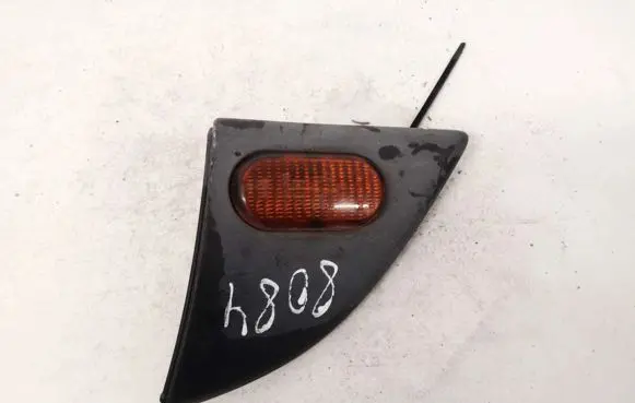 Front fender indicator light