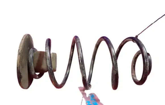 Rear coil spring