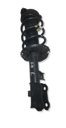 KIA Sportage Front shock absorber with coil spring 54660F1550