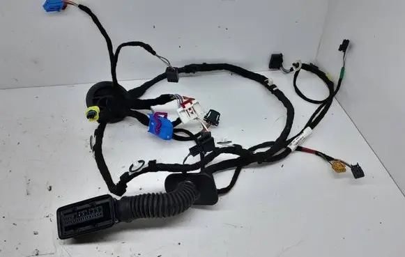 Cupra Formentor Front door wiring loom 5FB971121M