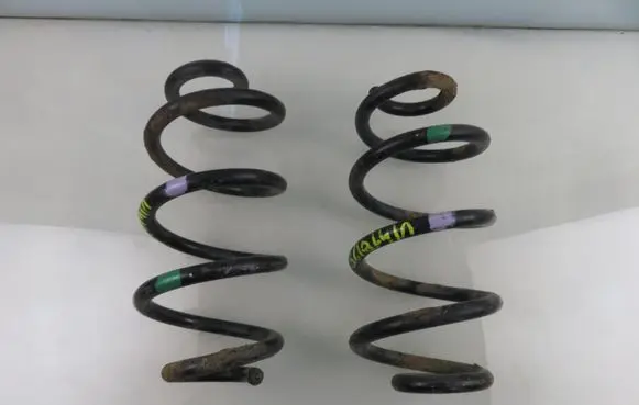 Rear coil spring
