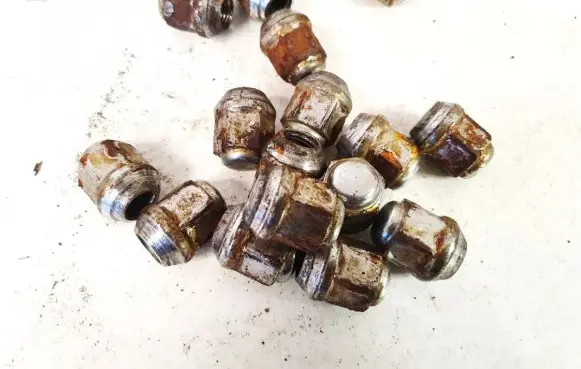 Chevrolet Epica Nuts/bolts 