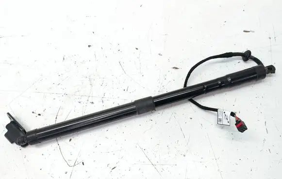 Tailgate strut