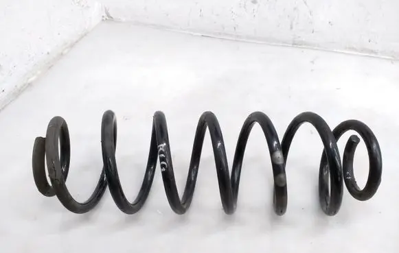 Rear coil spring