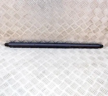 Mercedes-Benz GLE W167 Tailgate/trunk strut/damper A1679800564