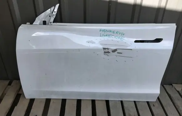 Tesla Model 3 Rear door