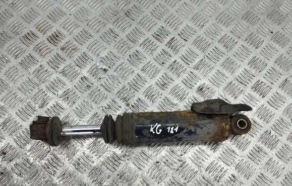 Hyundai Santa Fe Rear shock absorber/damper