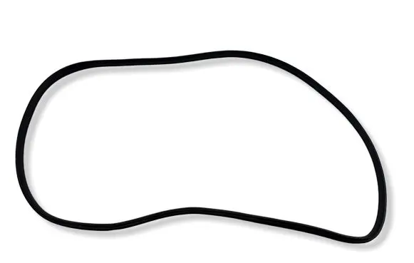 KIA EV6 Front door rubber seal 