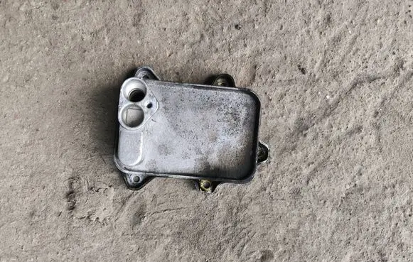 Volkswagen Golf V Engine oil radiator 03c117021e