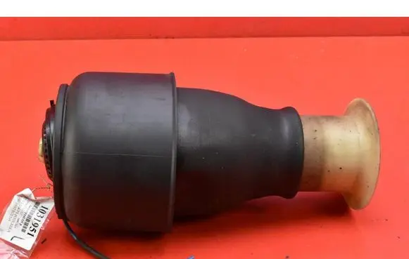 BMW 5 F10 F11 Rear shock absorber/damper R307513706