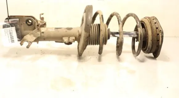 Renault Fluence Front shock absorber with coil spring 824903004848