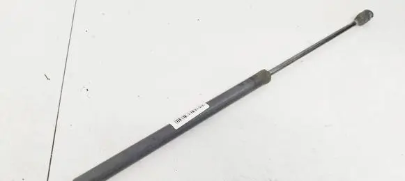 Tailgate/trunk strut/damper