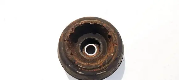 Coil spring mount