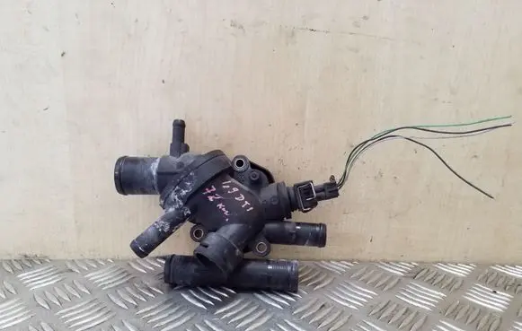 Thermostat/thermostat housing