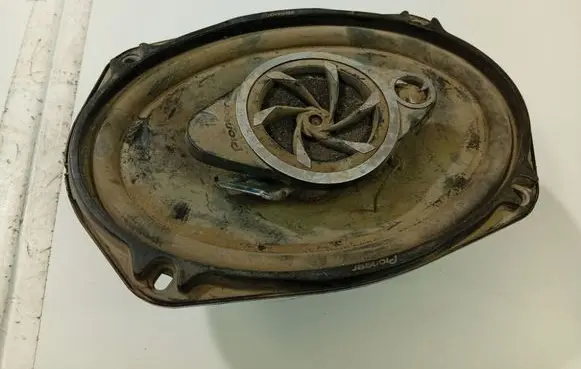 Volkswagen PASSAT B5 Front door speaker 