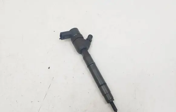 Hyundai Getz Fuel injector 0445110256