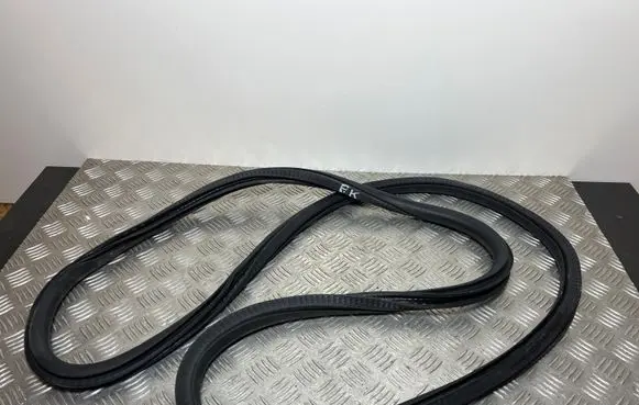 Fiat 500X Front door rubber seal