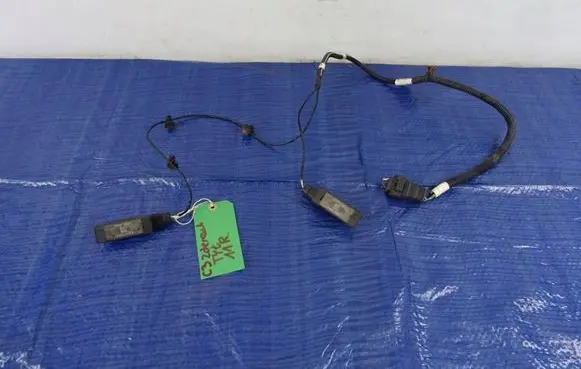 Citroen C3 Parking sensor (PDC) wiring loom 966423738