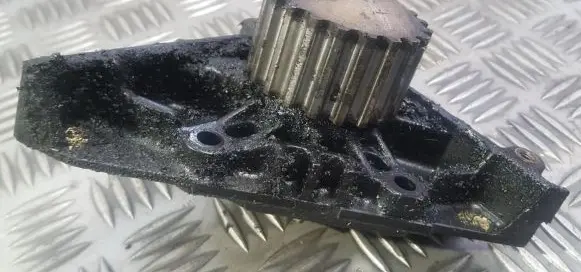 Citroen Xsara Picasso Water pump