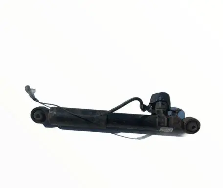 Lexus RX 450H Rear shock absorber/damper 4854048392