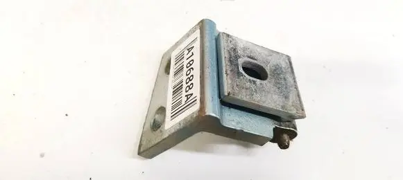 Rear door lower hinge