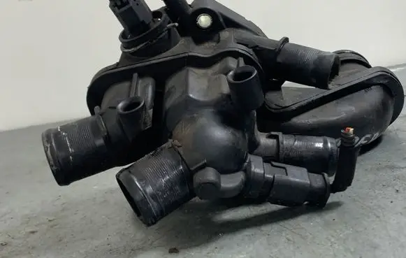 Thermostat/thermostat housing