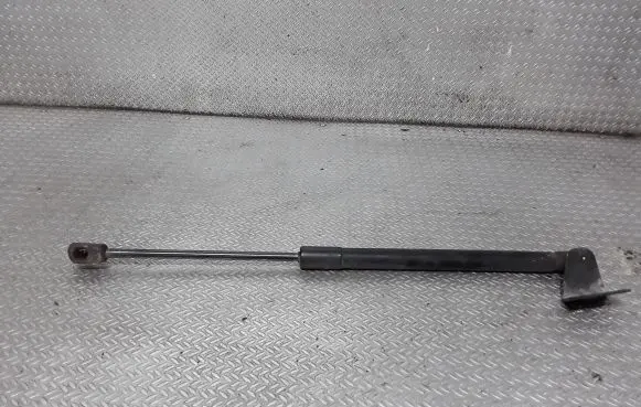 Tailgate/trunk strut/damper