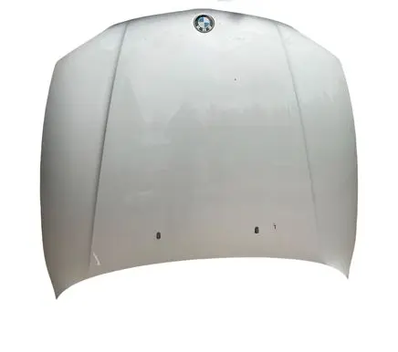 BMW 1 E82 E88 Engine bonnet/hood